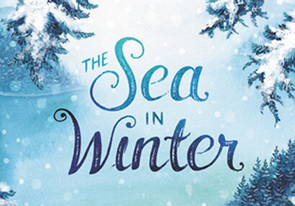 Sea In Winter book cover